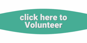 Green button with white text reading "click here to Volunteer" for the 2025 Field of Dreams Softball Tournament, centered on a curved green background.